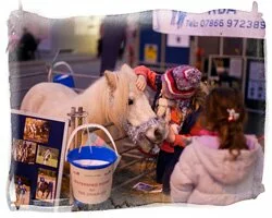 christmas in cirencester